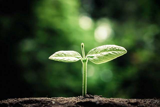 Our purpose is to give abundance to others Our purpose is to give abundance to others
